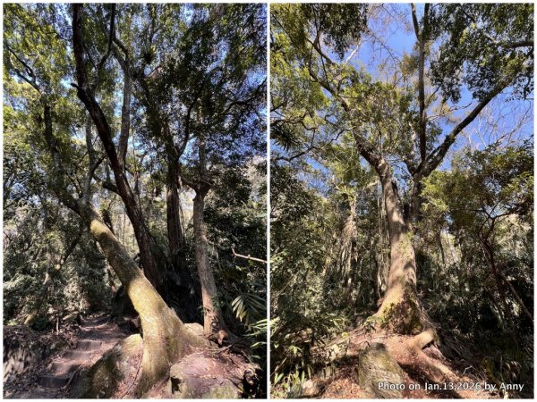 雪山坑步道（巨人之手）2986461