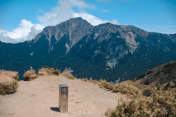 花季限定的景色3063169