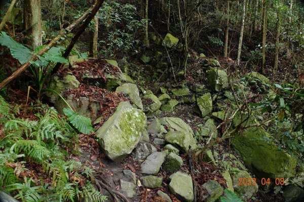 苗栗 泰安 虎山2107201