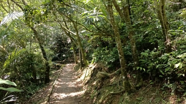 基隆市海興森林步道-情人塔-老鷹岩-情人湖登山步道O型3092716