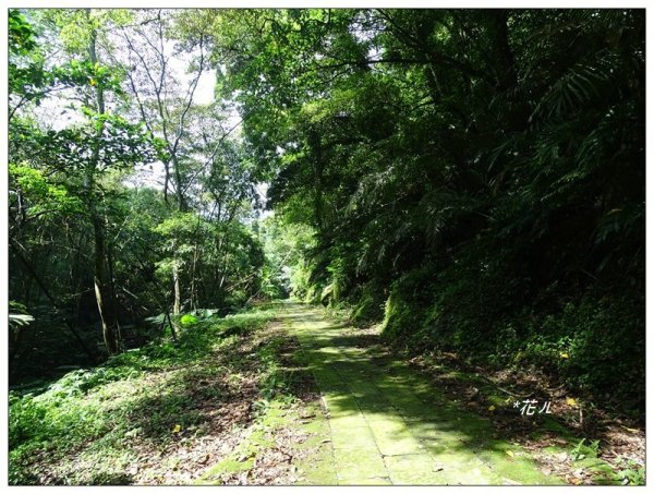 獅山五連峰 (猿山、六寮山、獅尾山、獅頭山、玖玖山)2871323