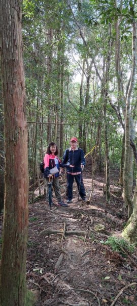 迷霧森林的羅山林道北線、油羅山 H1764m (巧遇野孩子小樂)1531426