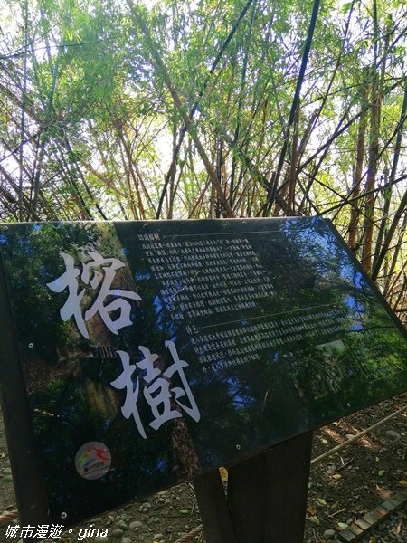 台中烏日~知高圳步道.雪蓮步道.學田山1204550