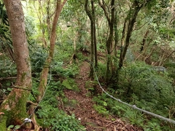 平溪區平溪子山遇雷雨O型2850144
