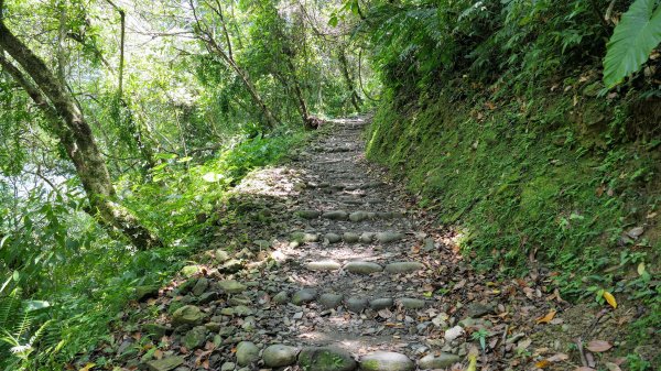 福山部落,內洞森遊區2552399