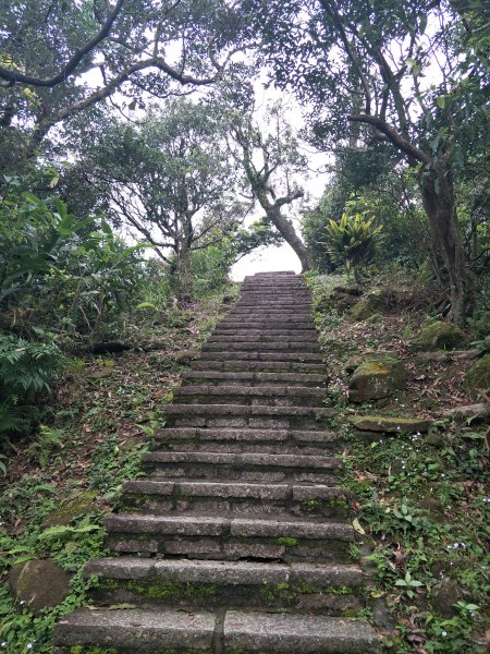 20190319 大尖山&四分尾山步道547798