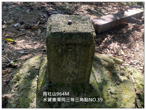 逐鹿古道、雨社山(南投、魚池)2667429