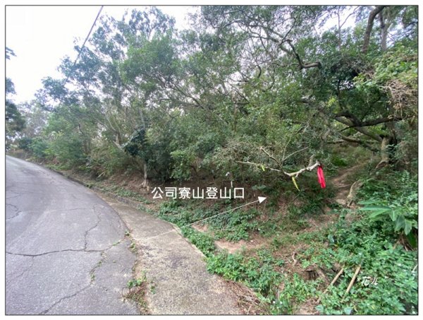 公司寮山 ( 苗栗、後龍 )3006163