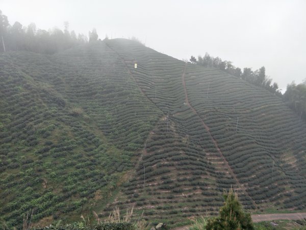 大崙頭山&民眾坪山