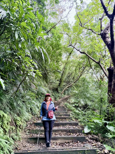 雙流帽子山悠遊  2025.01.032688539