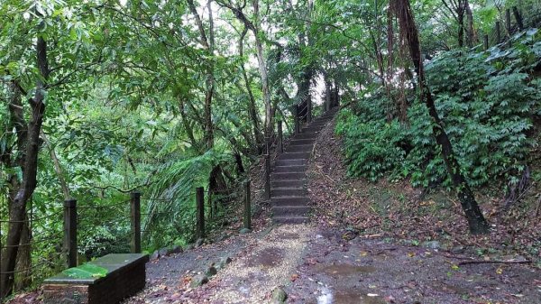 平溪  望古瀑布步道  猴硐貓村 運煤遺址。搭火車去旅行  最小的火車站 被人們忽略的秘境 望古瀑布2186063