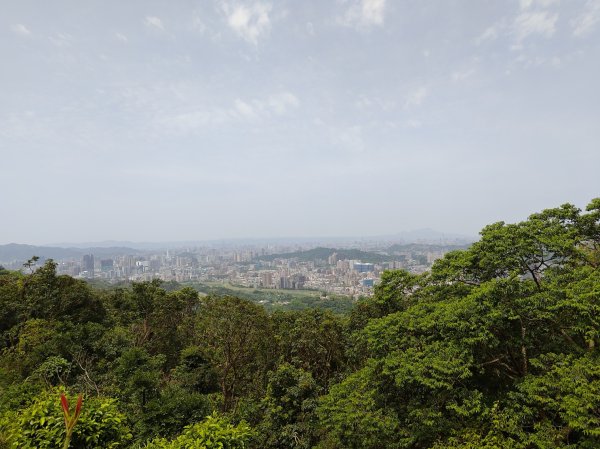 臺北大縱走第七段 世界山莊至飛龍步道政大後山2753475