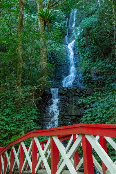 馬武督探索森林2930693