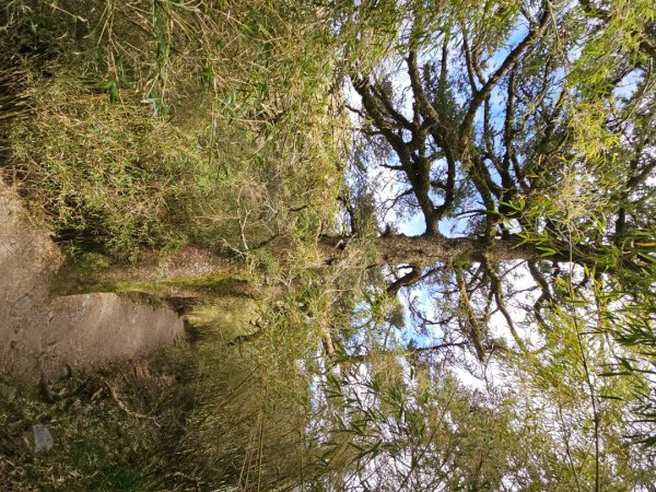 小奇萊步道-(南投)臺灣百大必訪步道2795659