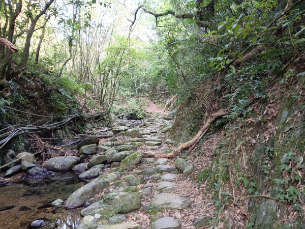 頭城鎮外澳車站+石空古道+太和山步道+蛇頭觀景台+象寮古道+烏山古道+外澳車站O型3018461