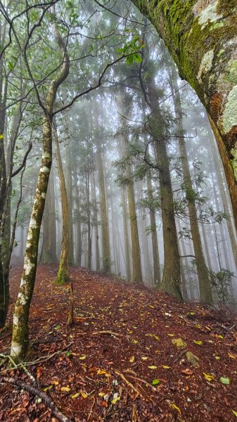 112.04.08 油羅山2123589