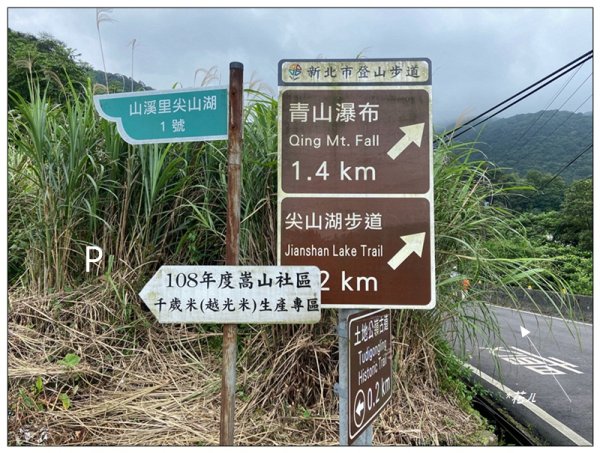 嵩山梯田 ( 新北、石門 )3049979