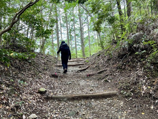 熊野古道參訪4日2805113