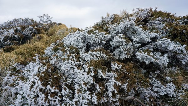 雪季合歡北峰1042012