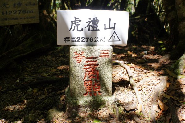 新竹 尖石 芝生毛臺山、虎禮山