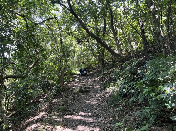 [跟著2025雙北世壯運探索雙北市-7/21] 2025_0615 疾風足球道（輔仁大學－明志路二段2814976