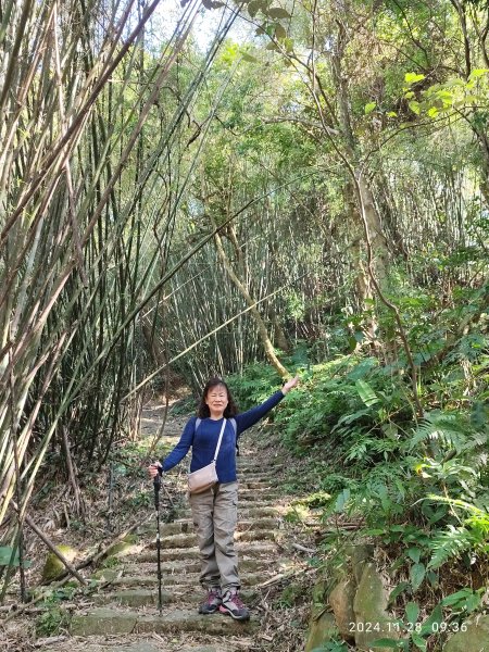 坪頂古圳環狀步道→清風亭→鵝尾山步道【走遍陽明山】2658303