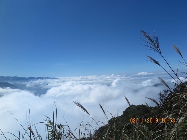 加里山雲海美景725091