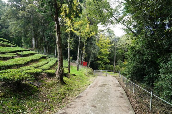 南投 仁愛 北東眼山、中央東眼山2623600