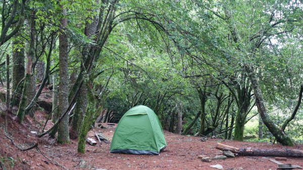雙龍林道上巒安堂西巒大山1778765