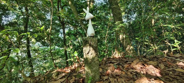 2025/05/17-凌空廊道至比麟山來回2790064