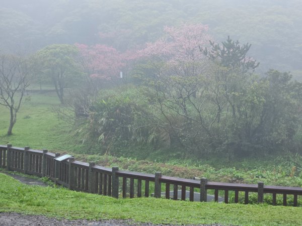 2026年臺北大縱走第一段：關渡至二子坪3010871