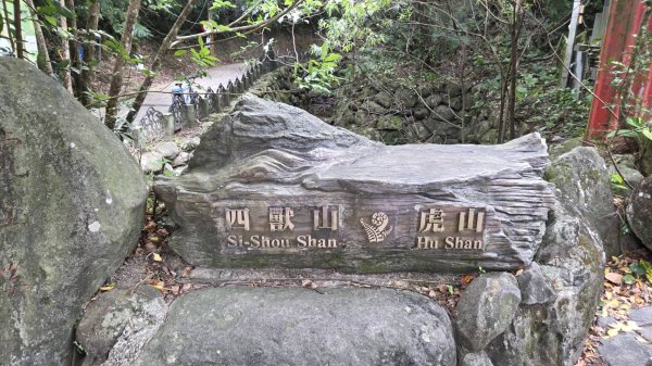 20260808 虎山親山步道3099959