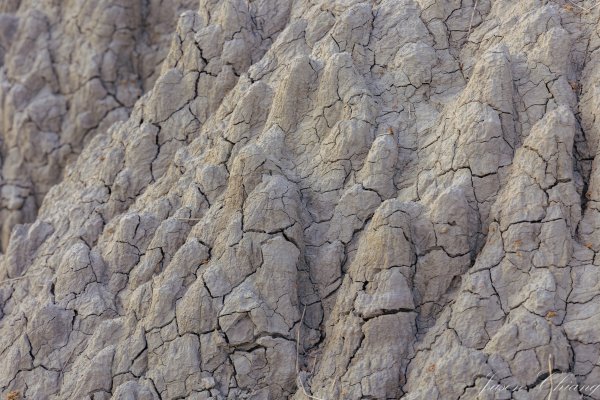 高雄田寮月世界地景步道2699697