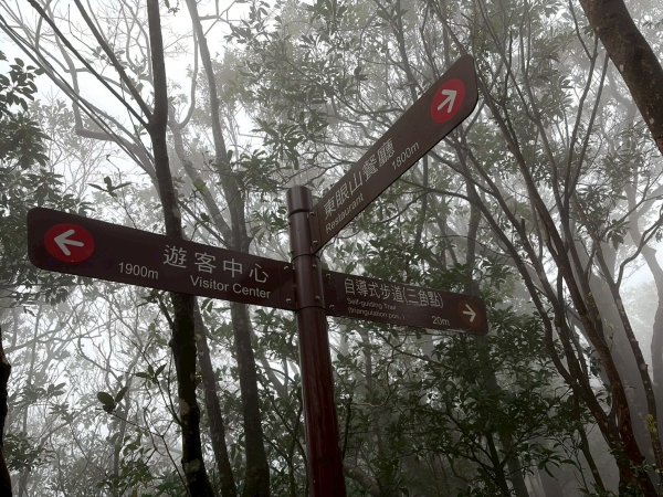 新北 三峽 桃園 復興 東眼山自導式步道2995391