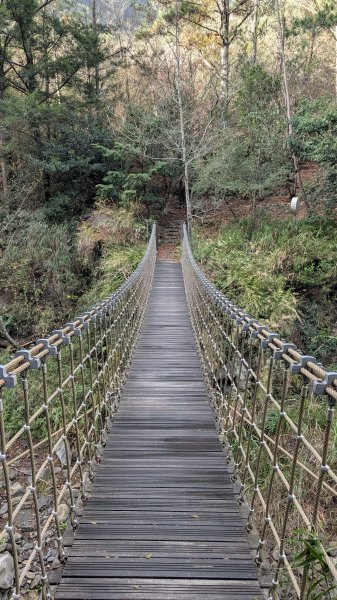 環山獵人登山步道3014388