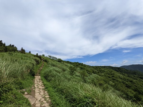 風櫃嘴擎天崗1723122