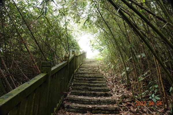 嘉義 番路 烏心石山1665792