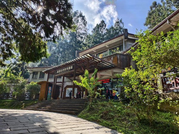 [百山百鳥尋旅-05/15] 2025_0830 溪頭賞鳥步道_賞鳥步道2875027