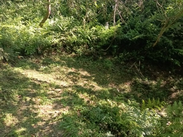 雙溪區豹子廚越嶺保甲路2876999