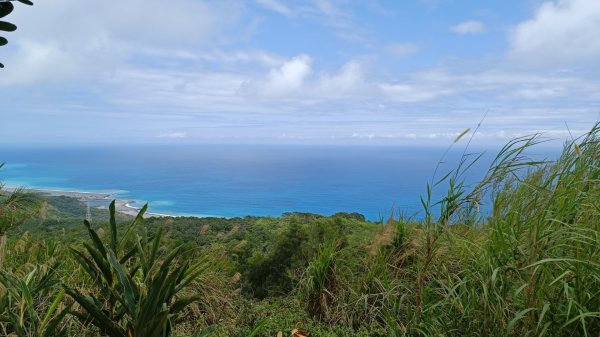 小百岳:巴塱衛山步2132764