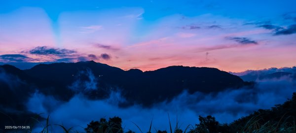 跟著雲海達人山友追雲趣 #草莓月亮 #月圓雲海 #霞光 #日出雲海 #茶園 6/112808764