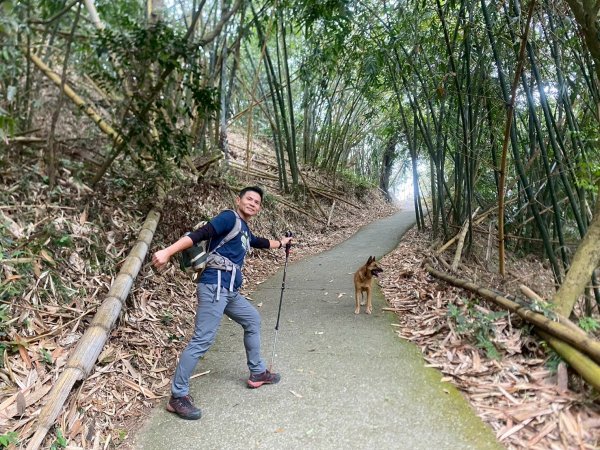 田中森林步道.赤水崎步道.龍過脈步道【都是友善石虎的好地方!!】2766676