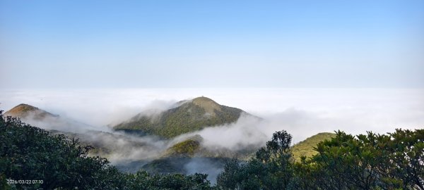 #大屯山 #雲海 3/223019608