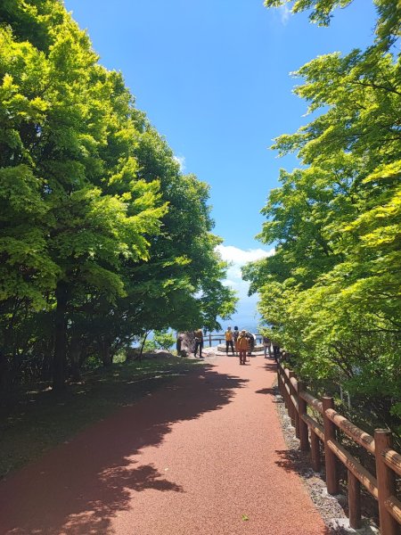 小豆島-台灣基石的故鄉2514069