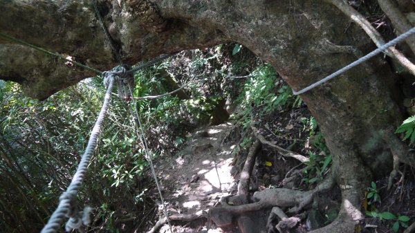 觀音山登山健行趣(小百岳05號)1632410