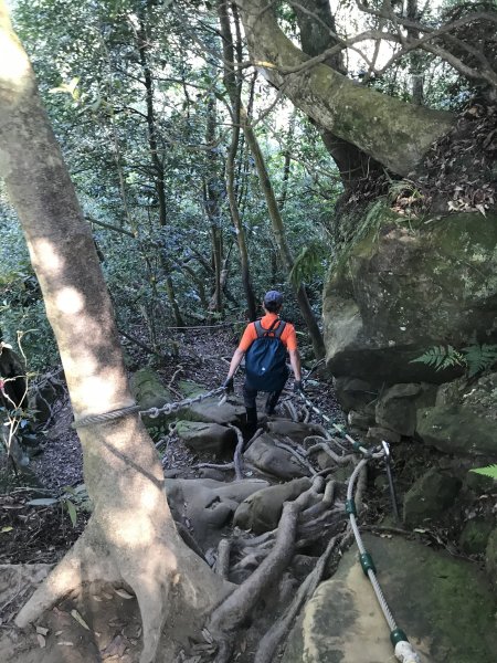 五寮尖山-龍山巖步道-阿屘尖山O型1307376