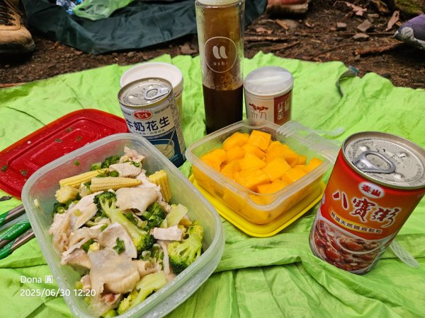 桃園小百岳東眼山(H1212m)2844636