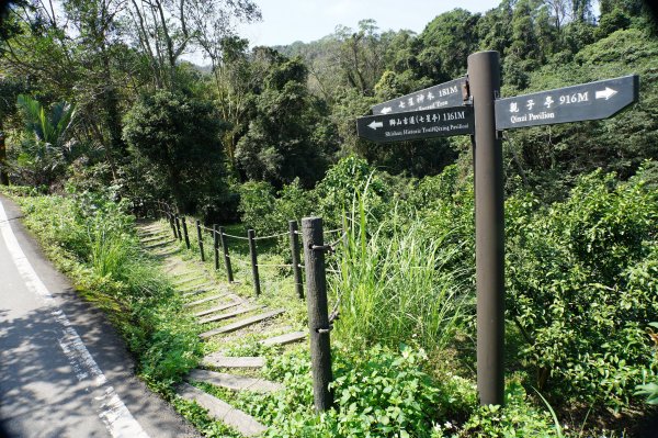 新竹 峨嵋 猿山、六寮山、玖玖山、獅頭山、獅尾山3012141