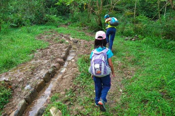 淡蘭古道中路之中坑、崩山坑古道O型685794