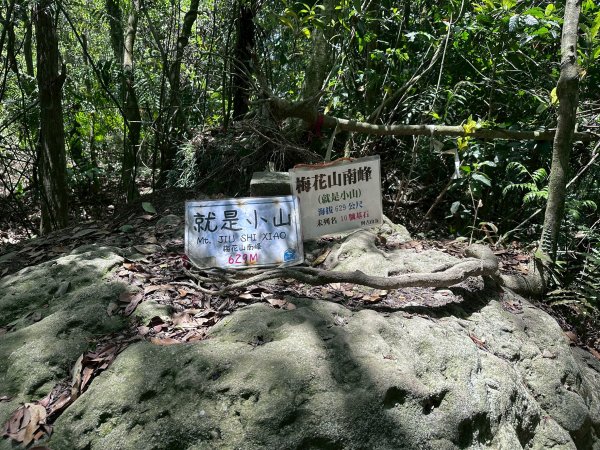 台北大縱走第四段2766860